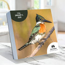2026 Birds: Backyard & Beyond Daily Desktop Calendar-2