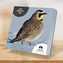 2026 Birds: Backyard & Beyond Daily Desktop Calendar-3