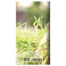 2026-2027 Dog Small Monthly Pocket Planner-9