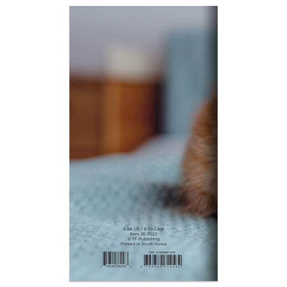 2026-2027 Kitten Small Monthly Pocket Planner