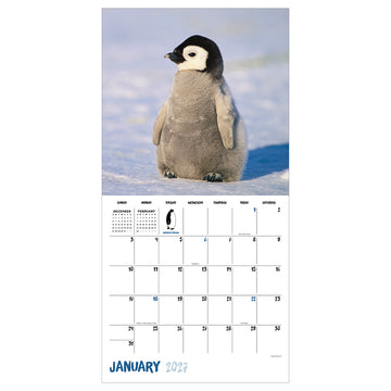 2027 Baby Animals Wall Calendar - 0