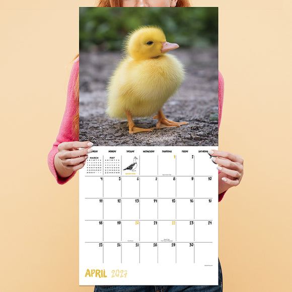 2027 Baby Animals Wall Calendar