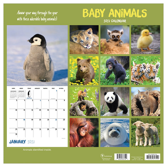 2027 Baby Animals Wall Calendar