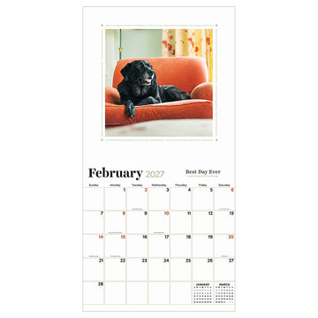 2027 Best Day Ever: Celebrating The Life of Dogs Wall Calendar - 0