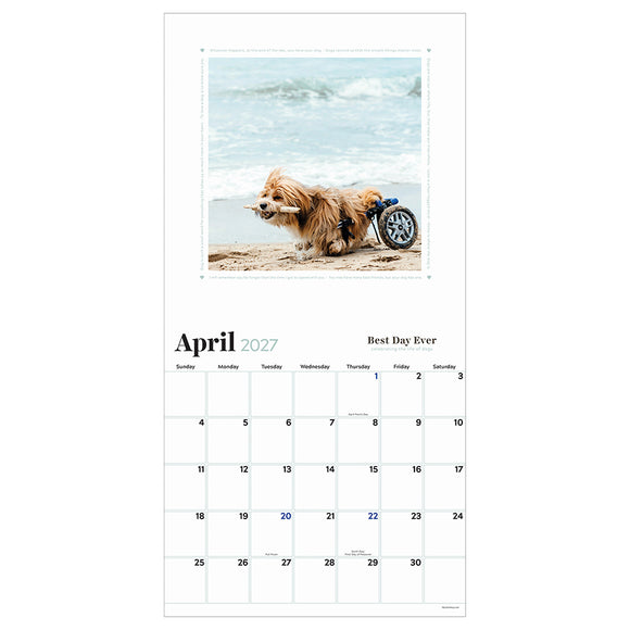 2027 Best Day Ever: Celebrating The Life of Dogs Wall Calendar