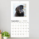 2027 Best Day Ever: Celebrating The Life of Dogs Wall Calendar-4