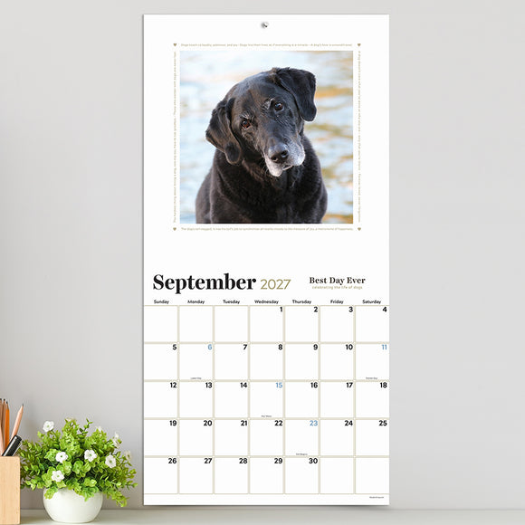 2027 Best Day Ever: Celebrating The Life of Dogs Wall Calendar