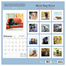 2027 Best Day Ever: Celebrating The Life of Dogs Wall Calendar-6
