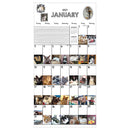 2027 Cat-A-Day Wall Calendar-2