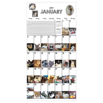 2027 Cat-A-Day Wall Calendar - 0