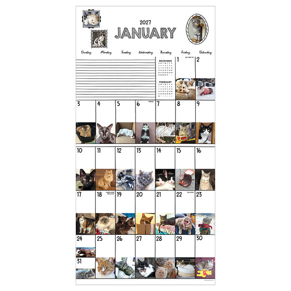 2027 Cat-A-Day Wall Calendar