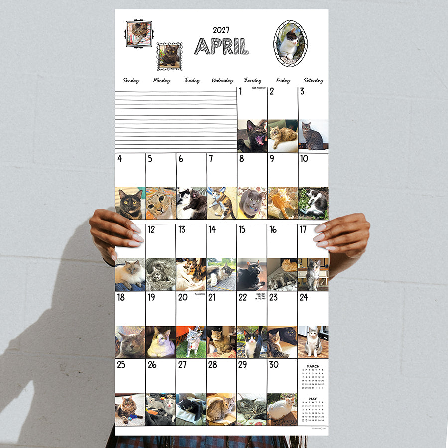 2027 Cat-A-Day Wall Calendar | TF Publishing | Calendars +
