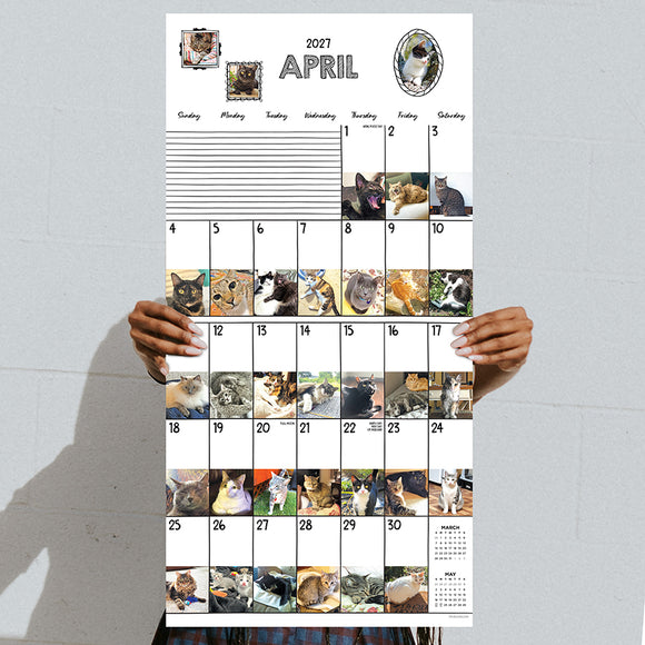 2027 Cat-A-Day Wall Calendar