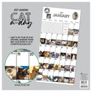 2027 Cat-A-Day Wall Calendar-6
