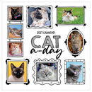 2027 Cat-A-Day Wall Calendar-1