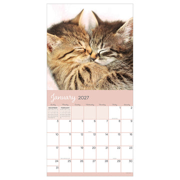 2027 Cat Dreams Wall Calendar - 0