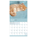 2027 Cat Dreams Wall Calendar-3