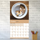 2027 Cat Dreams Wall Calendar-4