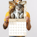 2027 Cat Dreams Wall Calendar-5