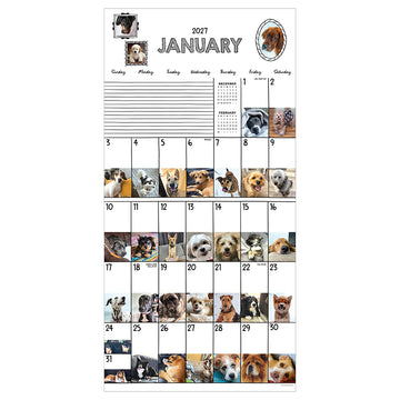 2027 Dog-A-Day Wall Calendar - 0