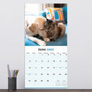 2027 Furry Friends Wall Calendar-4