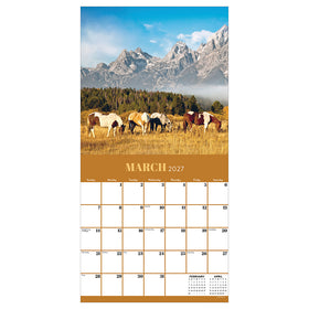 2027 Horses Wall Calendar - 0