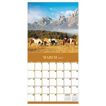 2027 Horses Wall Calendar - 0