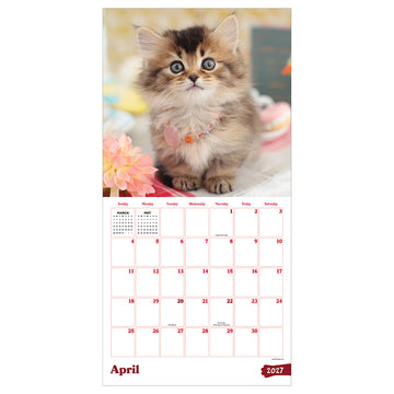 2027 Kittens Wall Calendar - 0