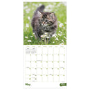 2027 Kittens Wall Calendar-3