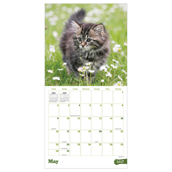 2027 Kittens Wall Calendar