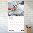 2027 Kittens Wall Calendar-4