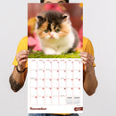 2027 Kittens Wall Calendar-5