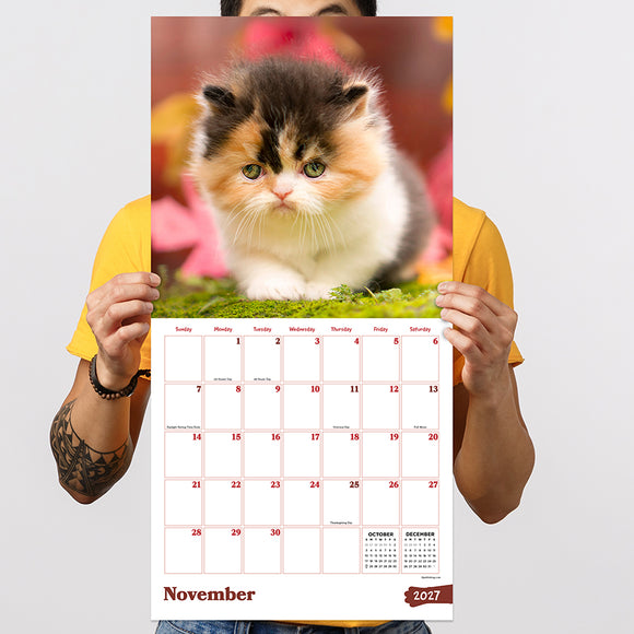 2027 Kittens Wall Calendar