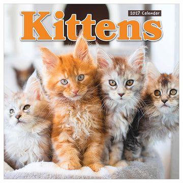 2027 Kittens Wall Calendar