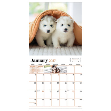 2027 Puppies Wall Calendar - 0