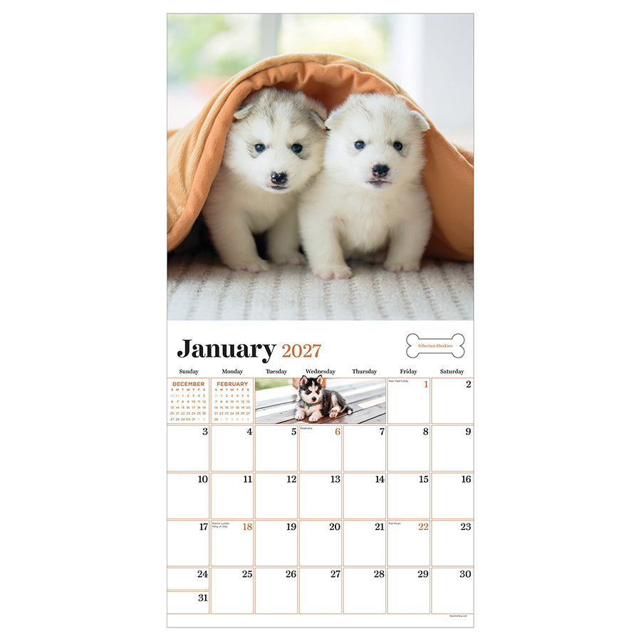 TF Publishing 2027 Puppies Wall Calendar