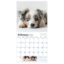 2027 Puppies Wall Calendar-3