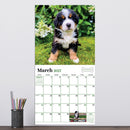 2027 Puppies Wall Calendar-4