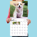 2027 Puppies Wall Calendar-5