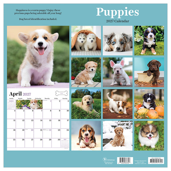 2027 Puppies Wall Calendar