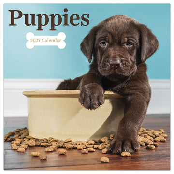 2027 Puppies Wall Calendar