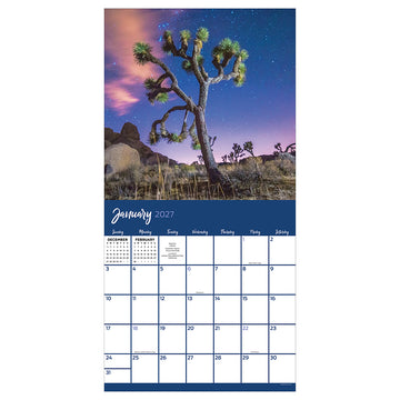2027 Trees Wall Calendar - 0