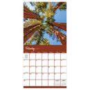 2027 Trees Wall Calendar-3