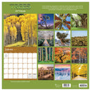 2027 Trees Wall Calendar-6