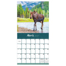2027 Wild Wall Calendar-3