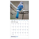 2027 Backyard Birds Wall Calendar-2