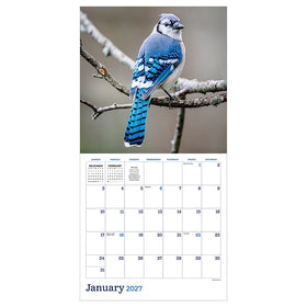 2027 Backyard Birds Wall Calendar - 0