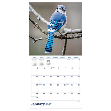 2027 Backyard Birds Wall Calendar - 0