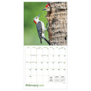2027 Backyard Birds Wall Calendar-3