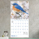2027 Backyard Birds Wall Calendar-4